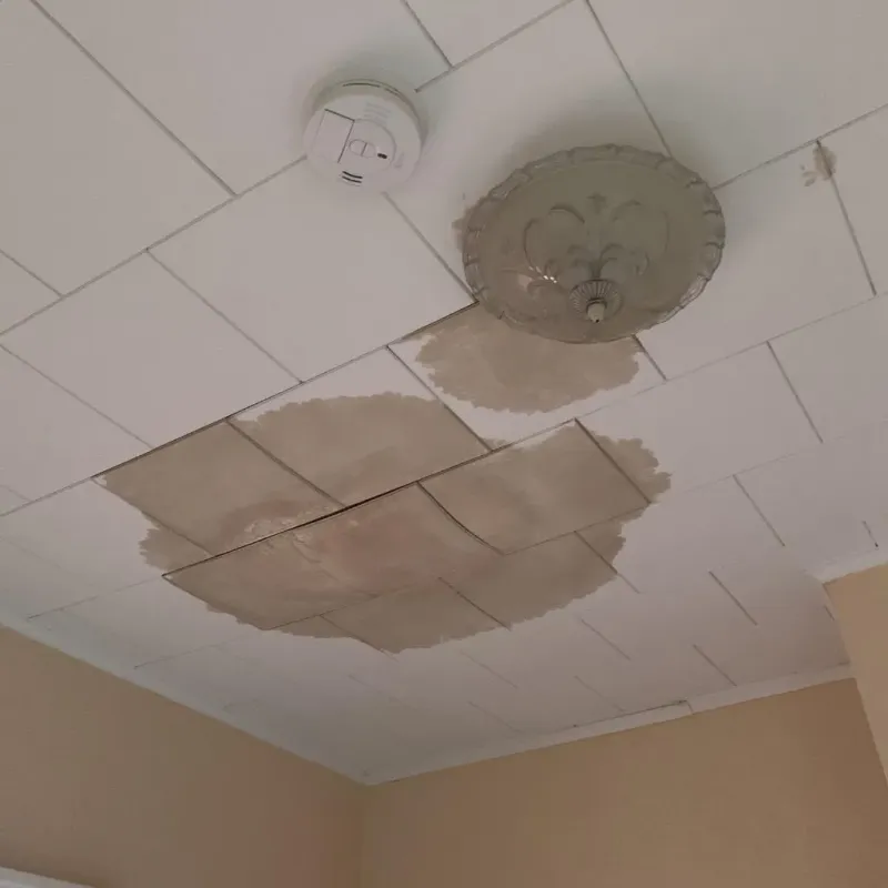 Ceiling Water Damage Repair in Bellefontaine, OH