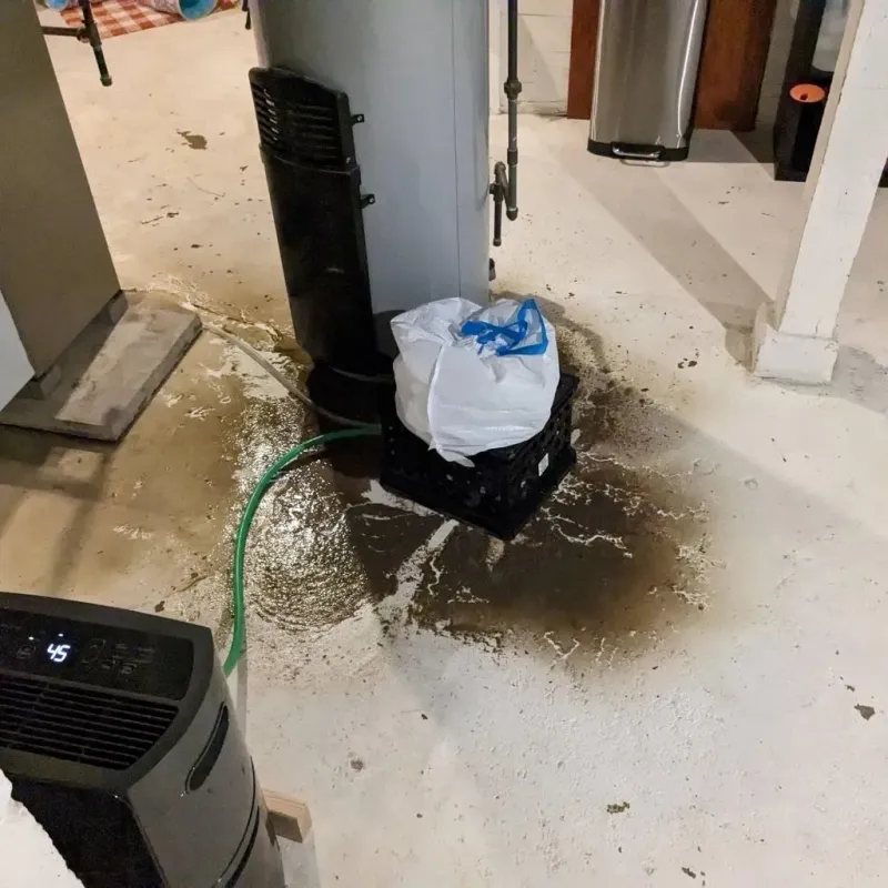Sewage Backup Cleanup Service in Bellefontaine, OH